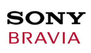Sony Multisystem TVs