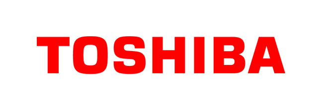 Toshiba Multisystem TVs