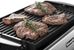 Delonghi NEW 220v Grill & Griddle w/Temp Control 220/240 Volt for Europe/Asia